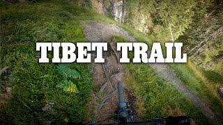 Tibet Trail Lower Part | Stelvio Pass