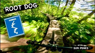 ROOT DOG | Blue trail | SUN PEAKS Bike Park