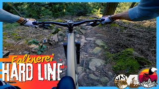 Falknerei HARD LINE // Königstuhl -...