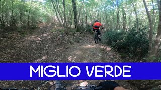 MTB Monte Morello 07.09.2024 sentiero  MIGLIO...