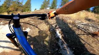 Pine Street Woods - Wabi Sabi