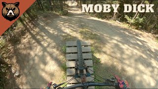 Moby Dick | Valemount Bike park | Mountain...