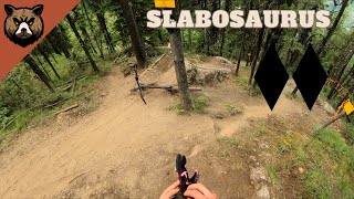 New Double Black Diamond at Panorama Bike Park...