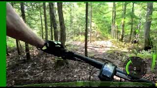 Sugarloaf - Salamander