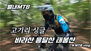 [별내MTB] 대장동 고기리 싱글 ...
