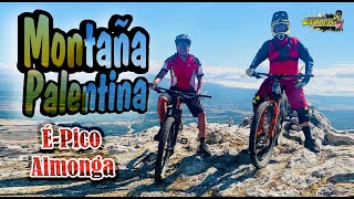 É-Pico Almonga