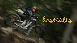 BESTIÁLIS | Deme Tamás