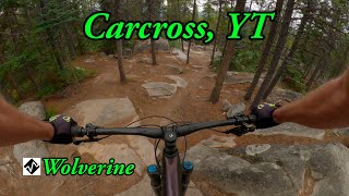 Best expert MTB trail in Carcross, YT - Wolverine