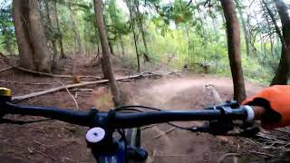Sherwood Forest (Pine Street Woods) - West...