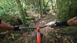 Tihi O Tawa @ Whakarewarewa Forest. Rotorua