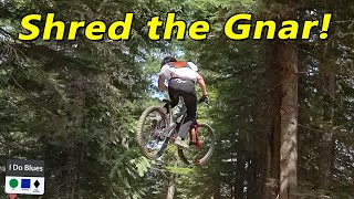 Shred the Gnar! (90s snowboard video but...