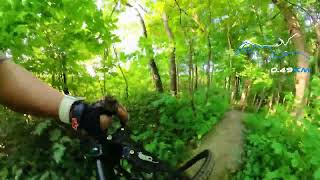 Rhythm and blues (Blue) @Jefferson Forest July...