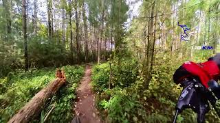 Palgrave - Sec 12 Buckstown -20240908