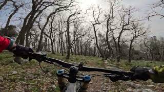 Mapini - Gargano MTB - San Giovanni Rotondo