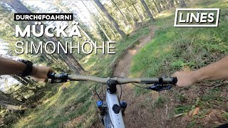 Mückä - Simonhöhe Trail Area | LINES