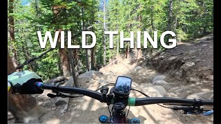 Keystone Wild Thing ♦️ #mtb #downhill