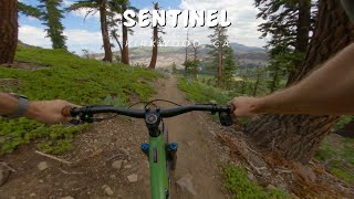 Sentinel | Forbidden Forest / Kirkwood, CA / MTB