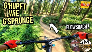 FLOWTRAIL MOSBACH G'Hupft wie G'sprunge  Full...