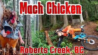 Mach Chicken, Roberts Creek, British Columbia,...
