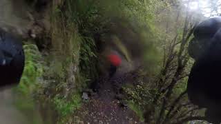 Pakihi Hut to Pakihi road end - bikepacking on...