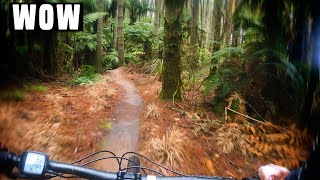 Incredible NZ Forest! | Rotorua MTB 