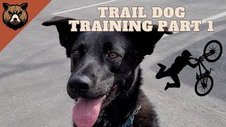 Training my Dog to be a Trail Dog Part 1 |...