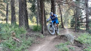 Flagstaff Arizona Trails