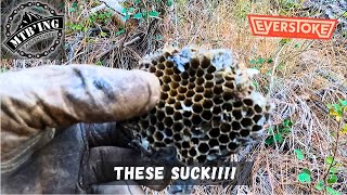 Killing Wasp Nests and Building Trails