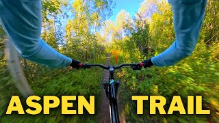 Aspen trail MTB - fast, techy, jumps, it feels...