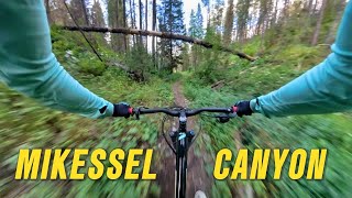 Though the downhill on this trail was amazing,...