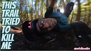 This Trail Tried to Kill Me