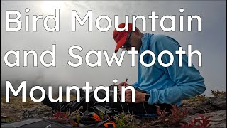 Indian Heaven Wilderness, Summitting Bird and...