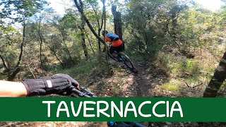 MTB Roveta 21.09.2024 sentiero TAVERNACCIA -...