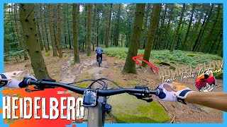 A QUICK Hidelberg Session - Königstuhl //...