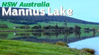 Mannus State Forest NSW Australia - What's the...