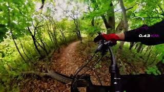 CameRAWks - Jefferson Forest
