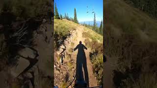 Idaho - Schweitzer - PINCH FLAT August 2024