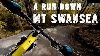 Riding Mt. Swansea // Dirty Monkey // Hula...