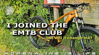 This High Torque E-BIKE is an Amazing hill...