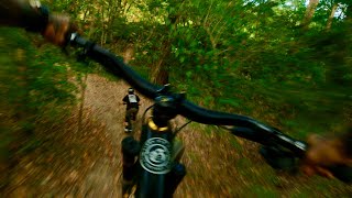 Gnarter Park’s Backwoods DH