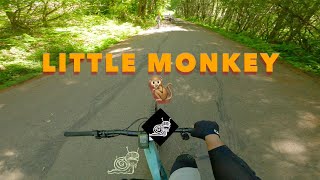 Film Study: Little Monkey - Sandy Ridge