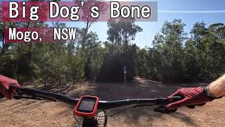 Big Dog's Bone - Mogo Trails - NSW