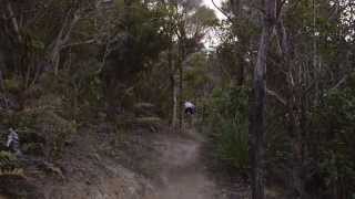 Moutain Biking Wellington, New Zealand - 491...