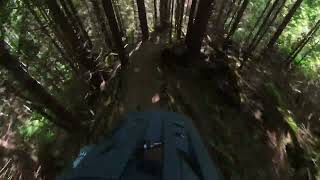Roberts Creek   Kat Trak