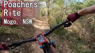 Poachers Rite - Mogo Trails - NSW
