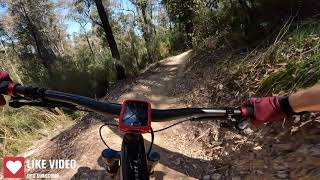 Curry Wang - New Mogo MTB Trails - NSW