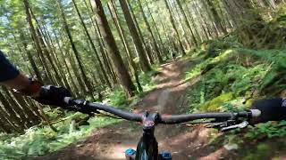 Half Nelson, Squamish's Best MTB Flow Trail?...
