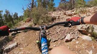 These trails are looney!\Wile E Coyote and...