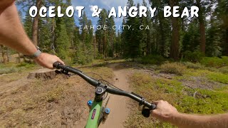 Ocelot & Angry Bear / Tahoe City, CA / MTB