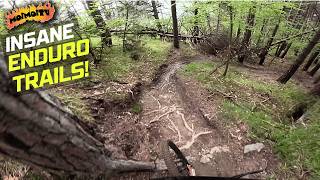 BEST TRAILS IN EUROPE!? NAVA FREERIDE | Jack...